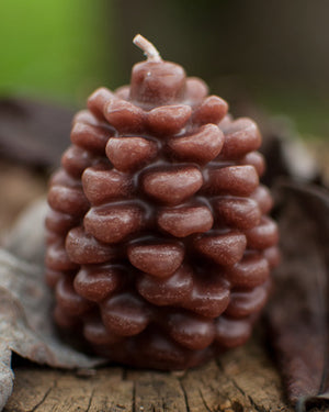 Pine Cone Candle